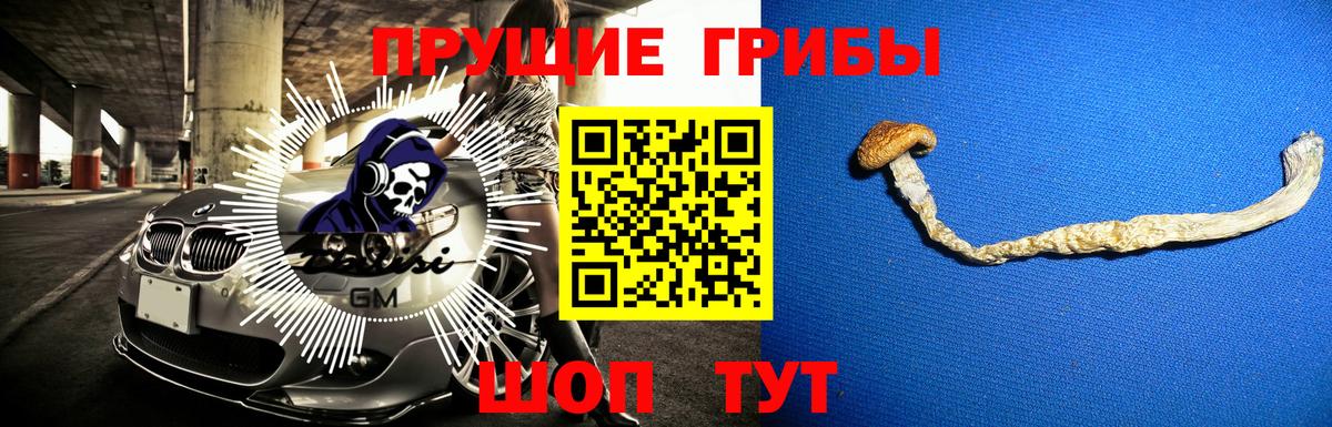 Псилоцибиновые грибы Psilocybine cubensis  Вход с VPN  Аксай 