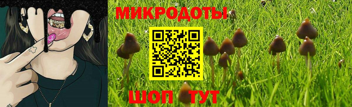 Псилоцибиновые грибы Magic Shrooms Аксай